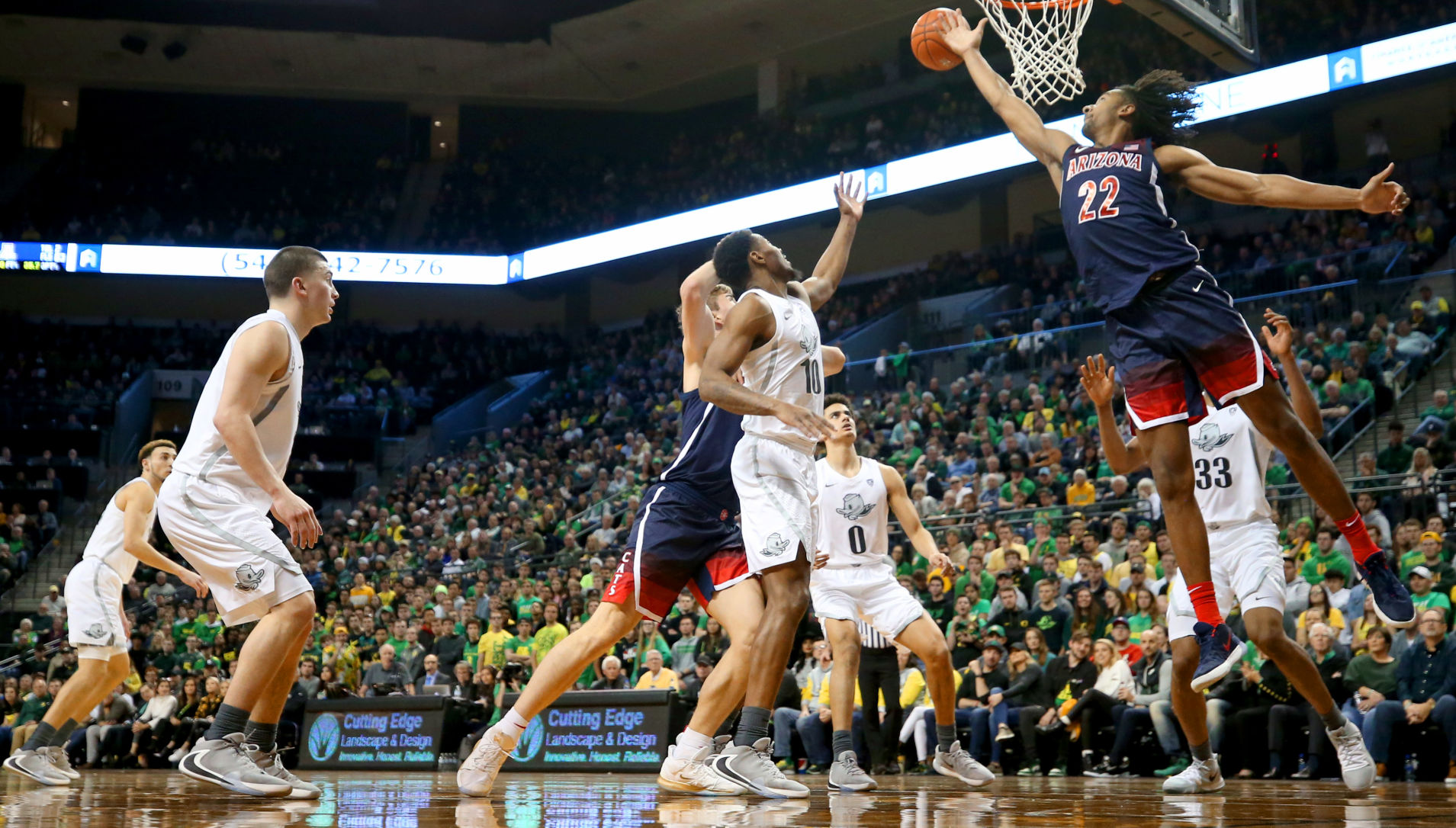 University of Arizona vs Oregon